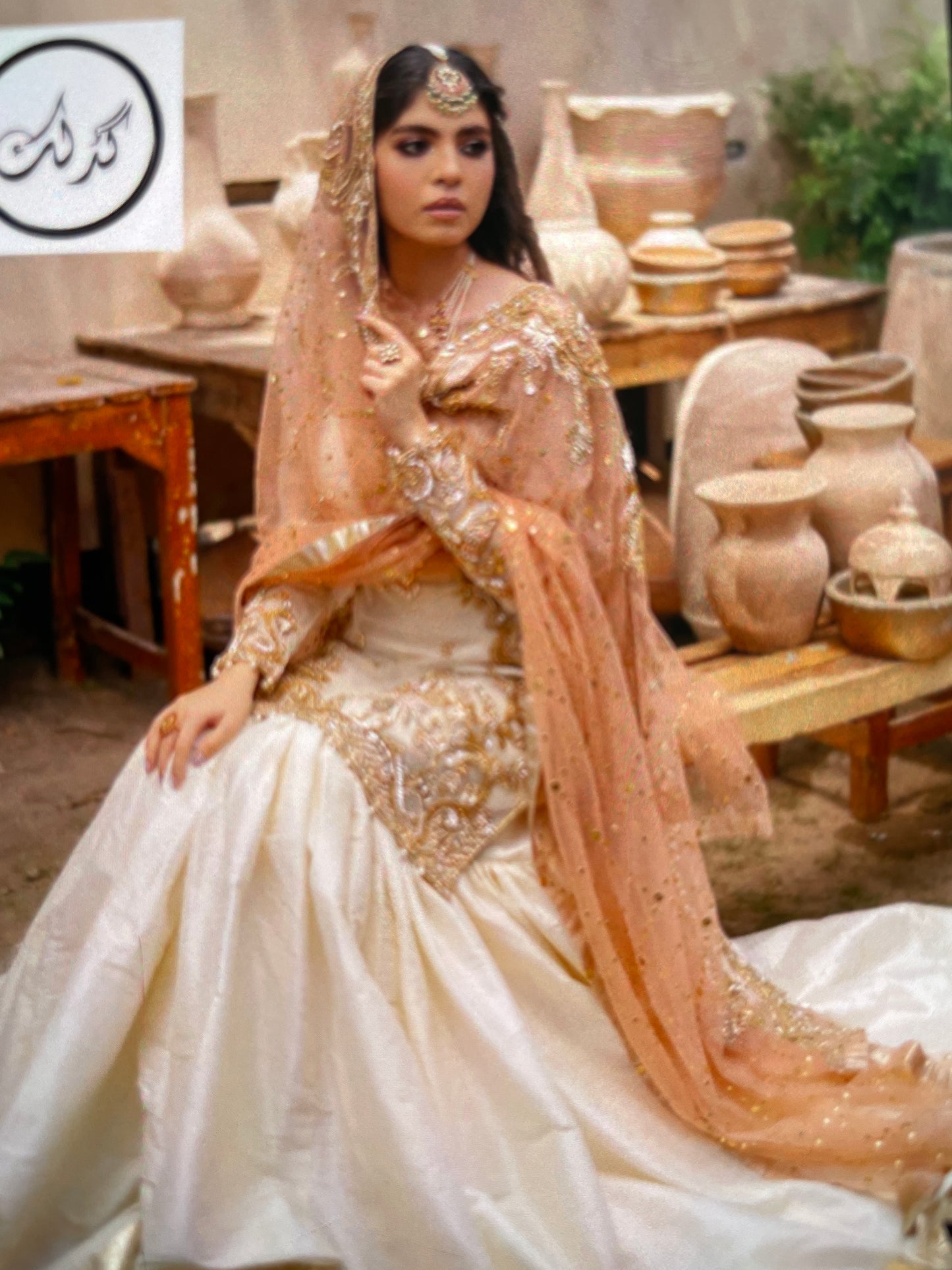 Stiched Organza lehnga