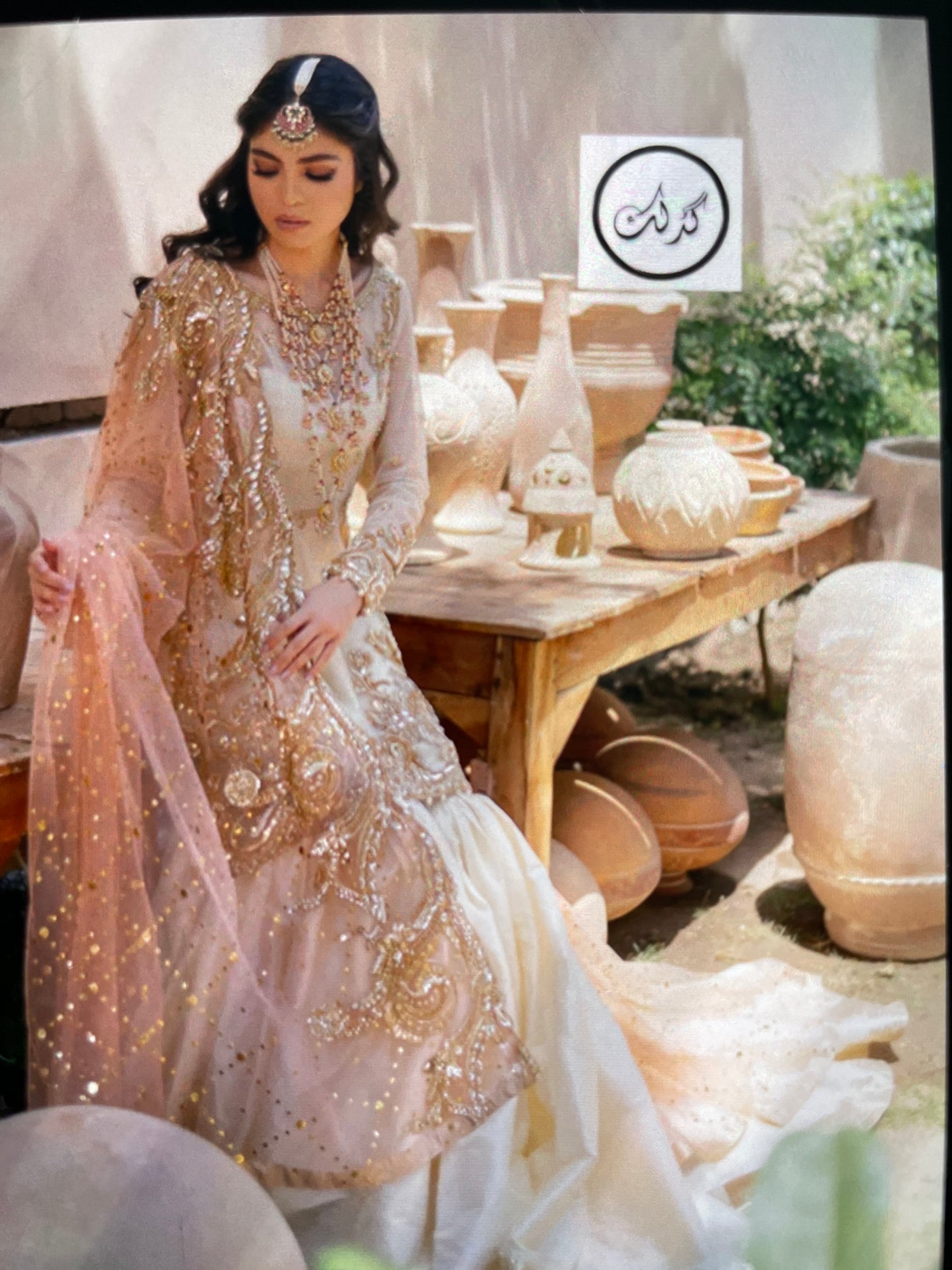 Stiched Organza lehnga